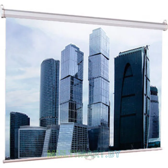 Проекционный экран Lumien Eco Picture (LEP-100101)